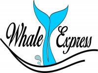 Whale Express